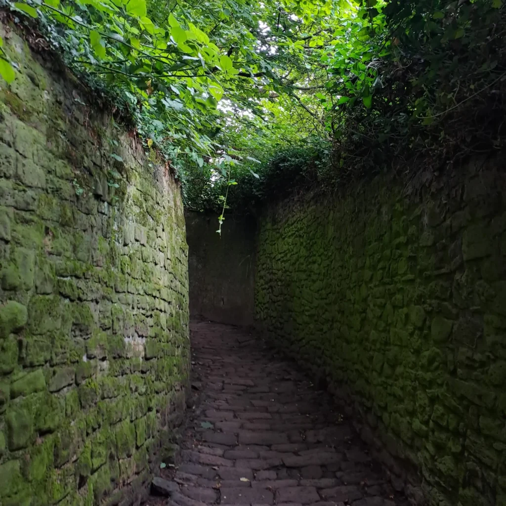 Philosopher's Way