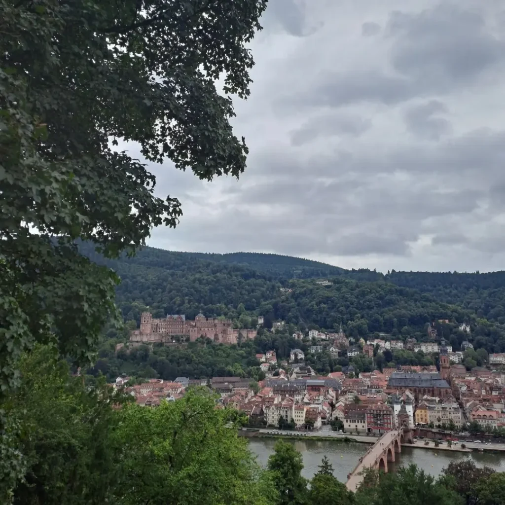 Bird's Eye View of Heidelberg