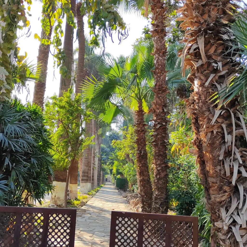 kavalalı sarayı